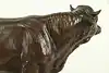 Thumbnail image 9