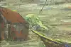 Thumbnail image 7
