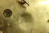 Thumbnail image 18