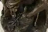Thumbnail image 21