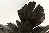 Thumbnail image 26