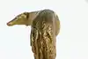 Thumbnail image 8
