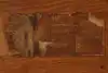 Thumbnail image 17