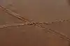Thumbnail image 9