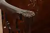 Thumbnail image 21