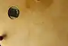 Thumbnail image 17