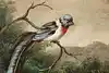 Thumbnail image 5