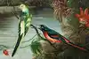 Thumbnail image 6