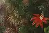Thumbnail image 7