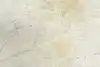 Thumbnail image 15