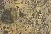 Thumbnail image 17