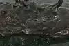 Thumbnail image 21