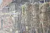 Thumbnail image 10