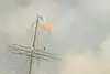 Thumbnail image 11