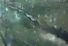 Thumbnail image 10