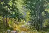 Thumbnail image 1