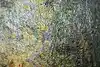 Thumbnail image 10