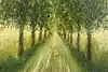 Thumbnail image 5