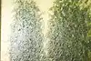Thumbnail image 6