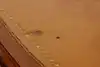 Thumbnail image 15