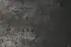 Thumbnail image 10