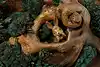 Thumbnail image 10