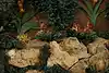 Thumbnail image 14