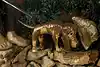 Thumbnail image 8