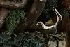 Thumbnail image 9