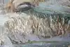 Thumbnail image 11