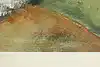 Thumbnail image 10