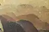Thumbnail image 10