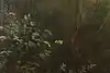 Thumbnail image 10