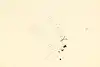 Thumbnail image 15