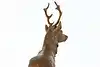 Thumbnail image 12