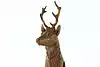 Thumbnail image 6