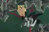 Thumbnail image 11