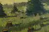 Thumbnail image 10