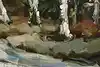 Thumbnail image 10