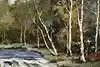 Thumbnail image 12