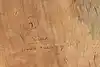 Thumbnail image 9