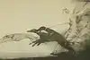 Thumbnail image 1