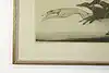 Thumbnail image 5