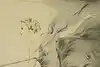 Thumbnail image 7
