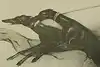 Thumbnail image 8