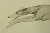 Thumbnail image 9