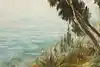 Thumbnail image 9