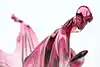 Thumbnail image 10