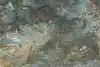 Thumbnail image 8