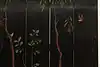 Thumbnail image 22